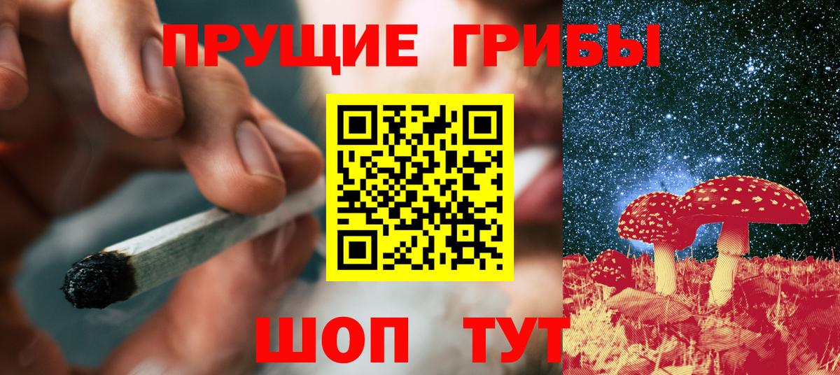 Псилоцибиновые грибы GOLDEN TEACHER Ревда